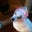 Steve Jones's profile image