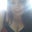 Julie Carey's profile image
