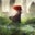 Wyckd Linda's profile image