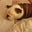 Leigh Stovall's profile image