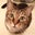 Dianne Tubbs's profile image