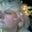 Kristin Gibbons's profile image