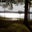 Karen Sievers's profile image