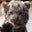 Sherry Walters's profile image