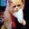 Hessa Al Zamel's profile image