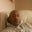 Darrell Benjamin's profile image