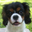 Taryn A's profile image