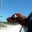Elizabeth Livesay's profile image