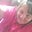 Kari Wilson's profile image