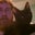Michael Knight's profile image