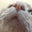 M K's profile image