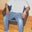 Jimmie Ambrose's profile image