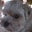 Pat Rigney Spencer Guffin's profile image