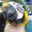 Sherri Williams's profile image