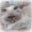 Carolyn Bauer's profile image