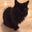 Jill Ketteman's profile image