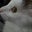 May Orionel's profile image