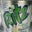 Ritzy Muckel's profile image