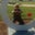 Diane Letts's profile image