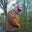 John Slebodnik's profile image