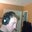 Stacy Flint's profile image