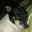 Kay Miller's profile image