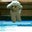 deeleefs lampkins's profile image
