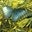 Jessica Herbst-Thorn's profile image