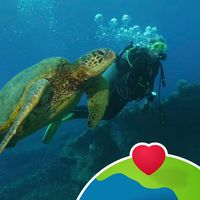 Sharon Beetham's profile image