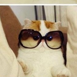 PK Mckissick's profile image