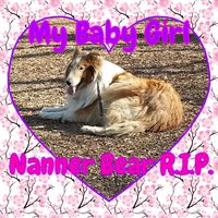 Amy Kaler's profile image