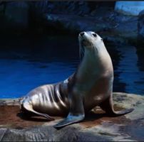 Theresa Lynn Sager's profile image