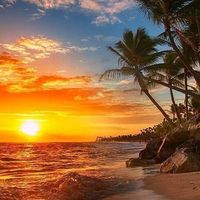 Linda Marucci Schechter's profile image