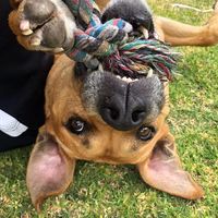 Jade Sproule's profile image