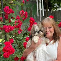 Linda Dennis-Welding's profile image