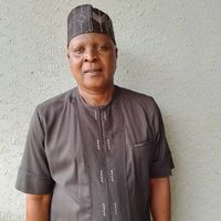 Sunday Ogunleye's profile image