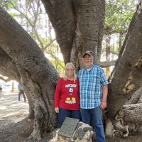 Sue Mosier Pensak's profile image