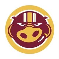 Matthew Nagy's profile image