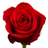 A O.'s profile image