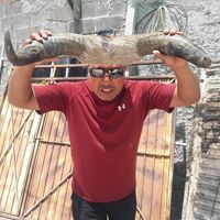 JJ Delgado's profile image