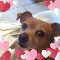 Tobi Karbginsky's profile image