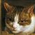 Paul S.'s profile image