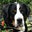 Jim Tisch's profile image
