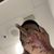 Julian Lugo's profile image
