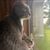 Chelle Giles's profile image