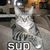 Timothy P.'s profile image