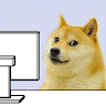 Hannah L.'s profile image