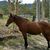 Beth Munro's profile image