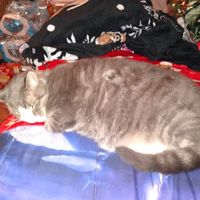 Tabatha Stevens's profile image