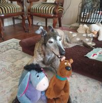 Wendy Compton Odyniec's profile image